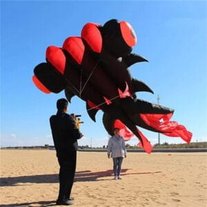 Large Goldfish kite 5m outdoor Fun flying Kite for adults