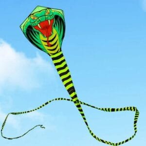 Big Snake Kite Cobra kite Flying Line Outdoor Toys for Adult Kites
