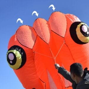 8sqm Pilot Lifter Tadpole Kite Single Line High Quality Soft Inflatable Outdoor Kites for Adults