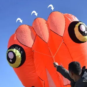 8sqm Pilot Lifter Tadpole Kite Single Line High Quality Soft Inflatable Outdoor Kites for Adults